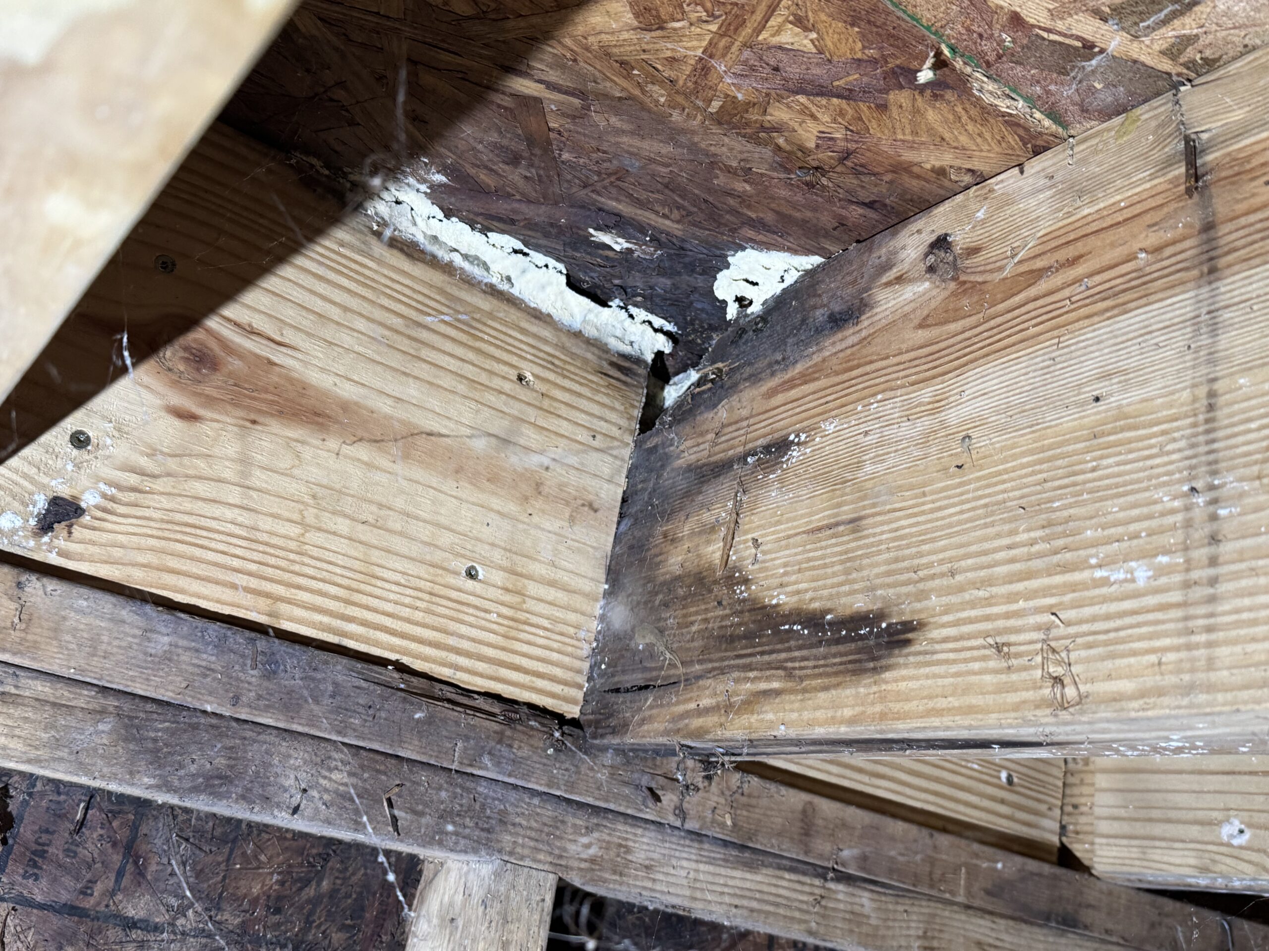 Close-up of wooden beams in a ceiling with visible water damage, white sealant, and cobwebs in the corner.