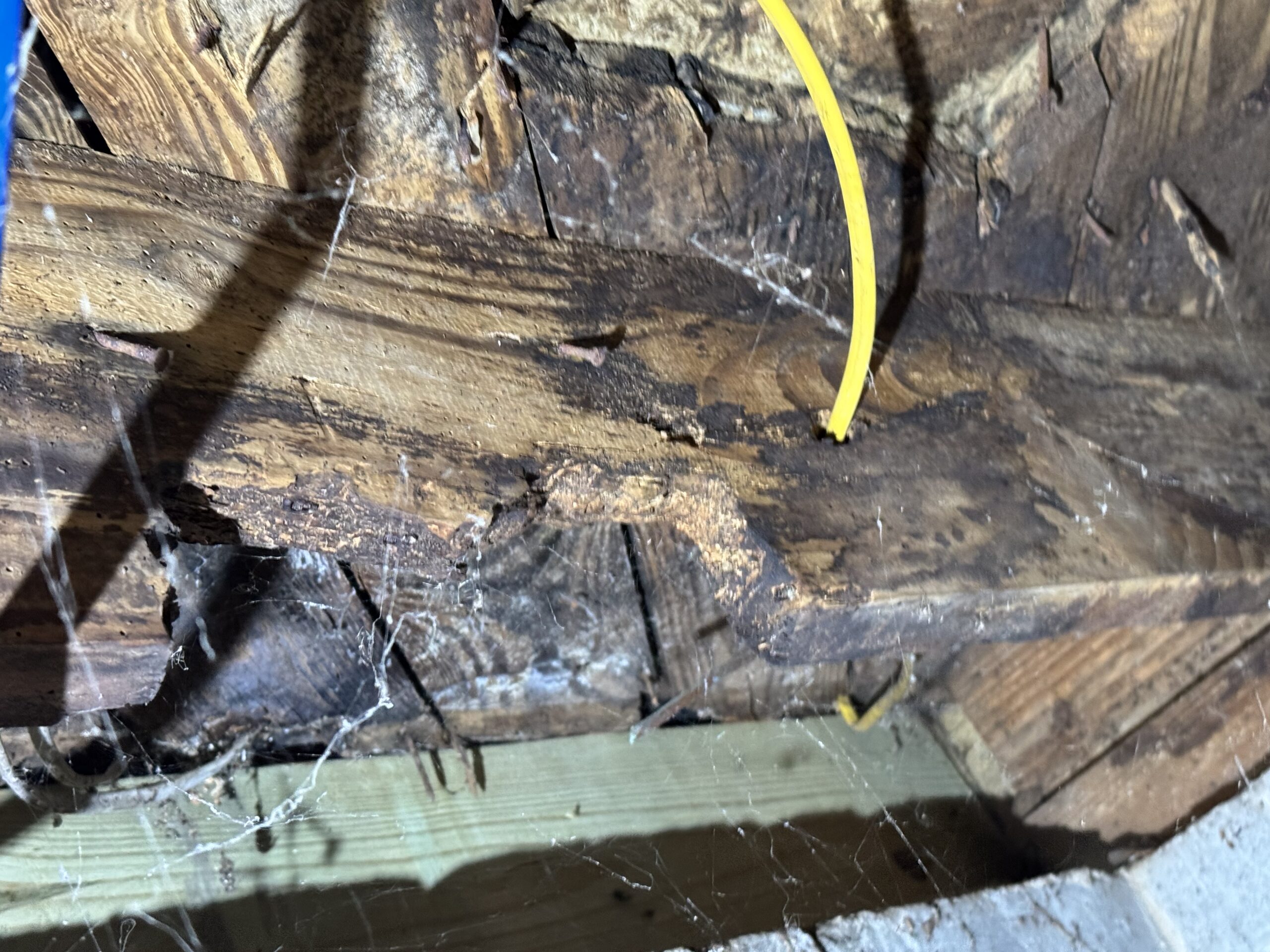 Close-up of wooden beams in a structure, showing signs of rot and damage, with a yellow electrical wire and cobwebs visible.